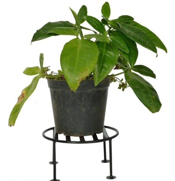Circle Iron Pots& Planter Stand It will give any place a splendid look and a dash of style Pack of 4 - Free Size, Black, Iron, Pack of 2, Round